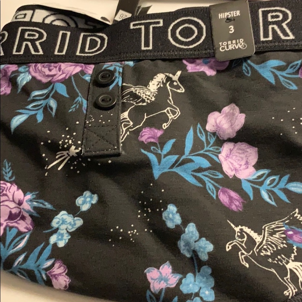 Torrid hipster panties NWT